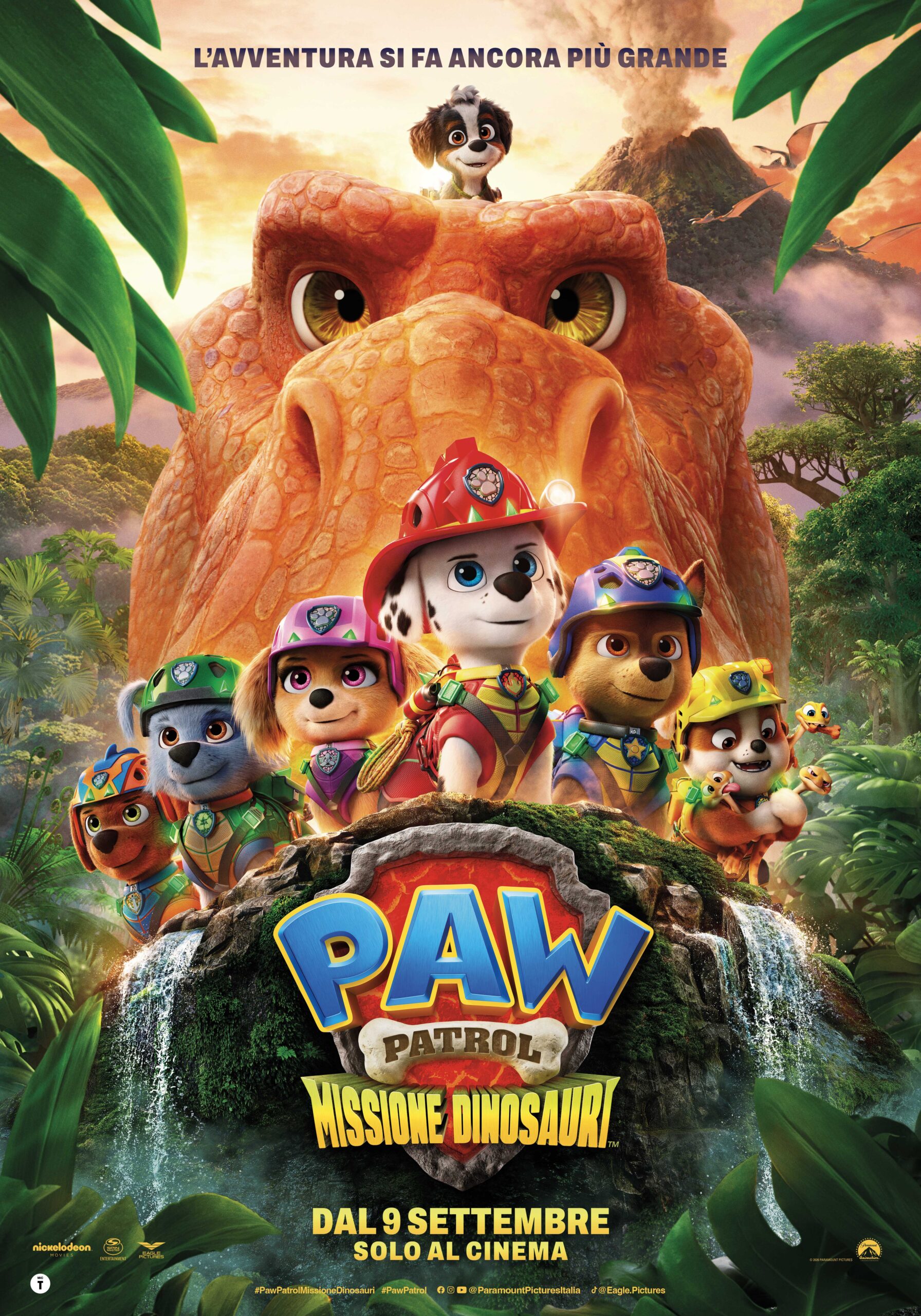 paw patrol